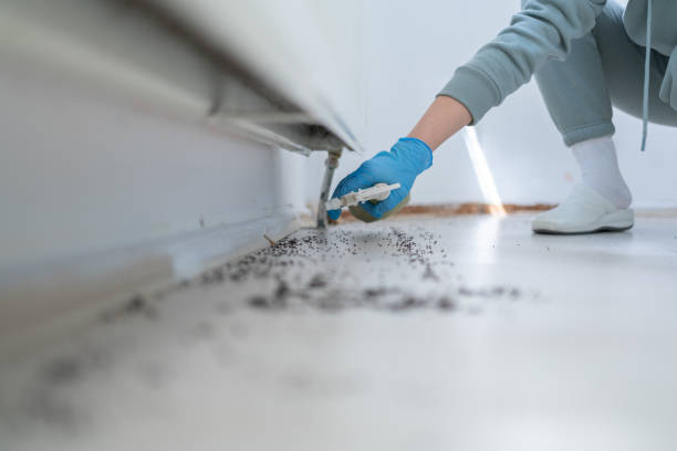 Best Best Pest Control Companies  in Rogers, AR